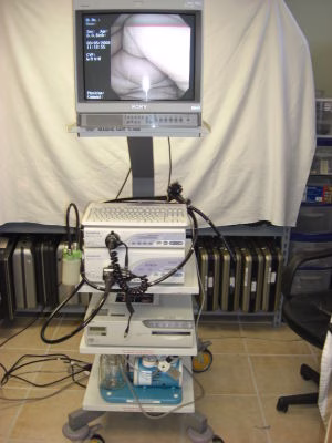 OLYMPUS CV 160