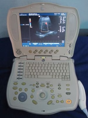 GE LOGIQ Book XP Vet