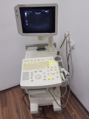 GE Logiq 200