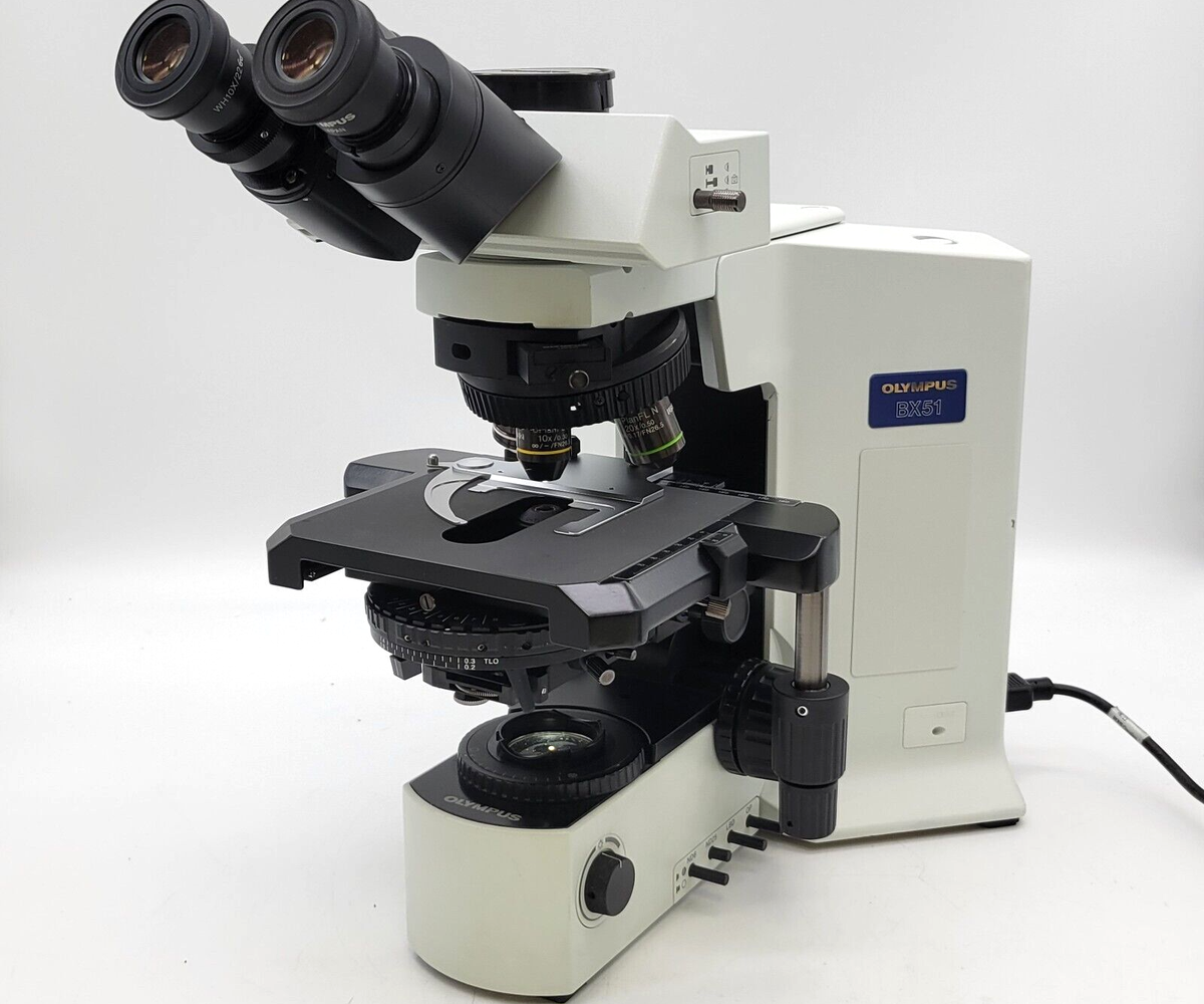 OLYMPUS BX-51