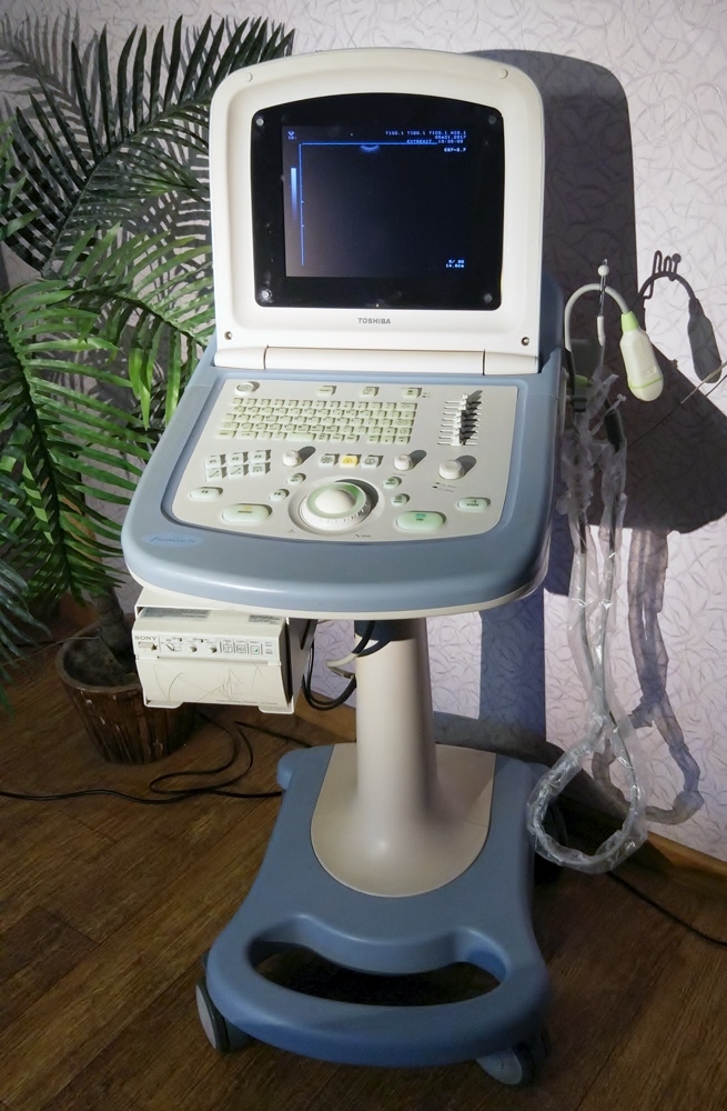Toshiba Famio 5