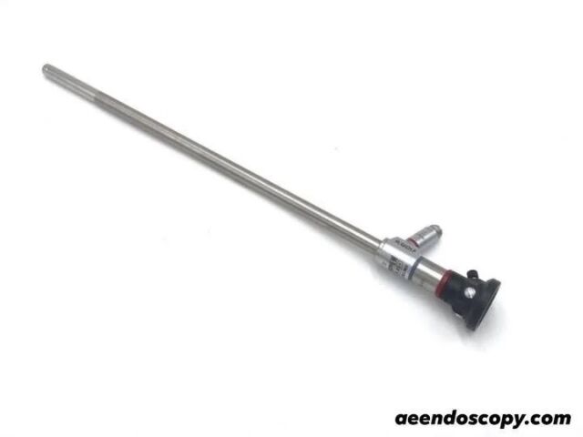 Wolf 8934.421