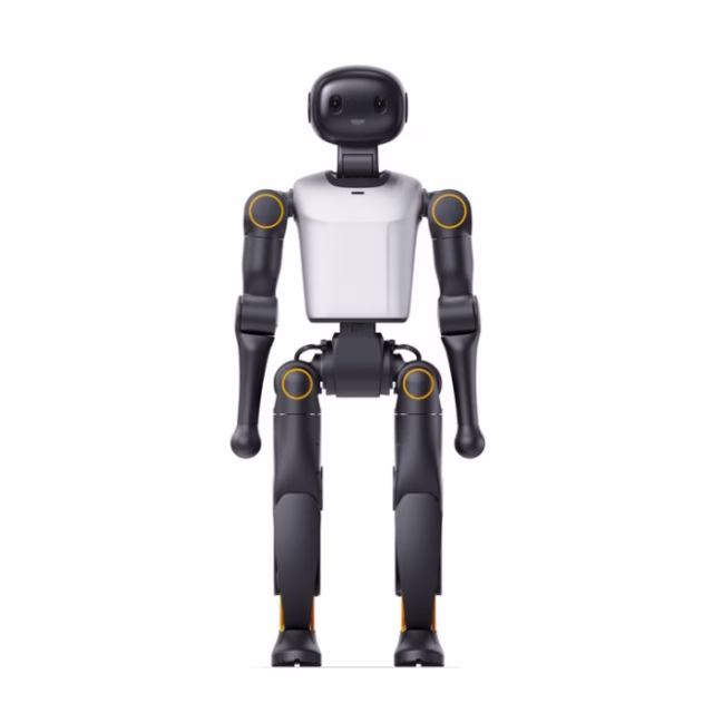Booster K1 Professional Humanoid Robot