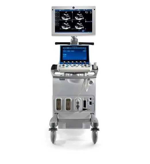 GE Vivid S60 R2 v202