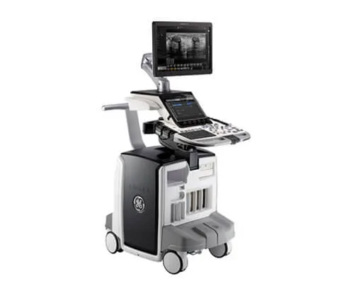 GE Logiq E10