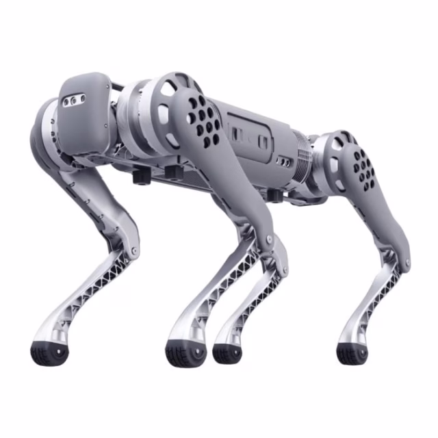Unitree B1 Quadruped Robot