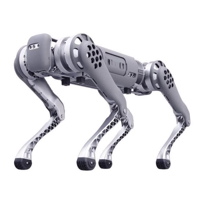 Unitree B1 Quadruped Robot