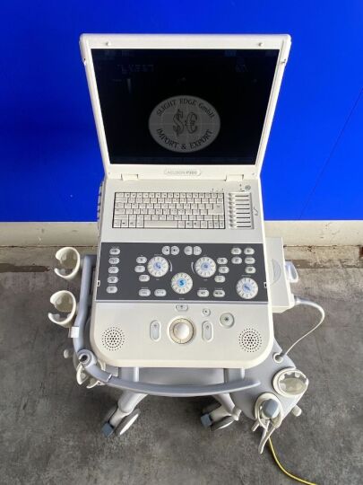 Siemens Acuson P300