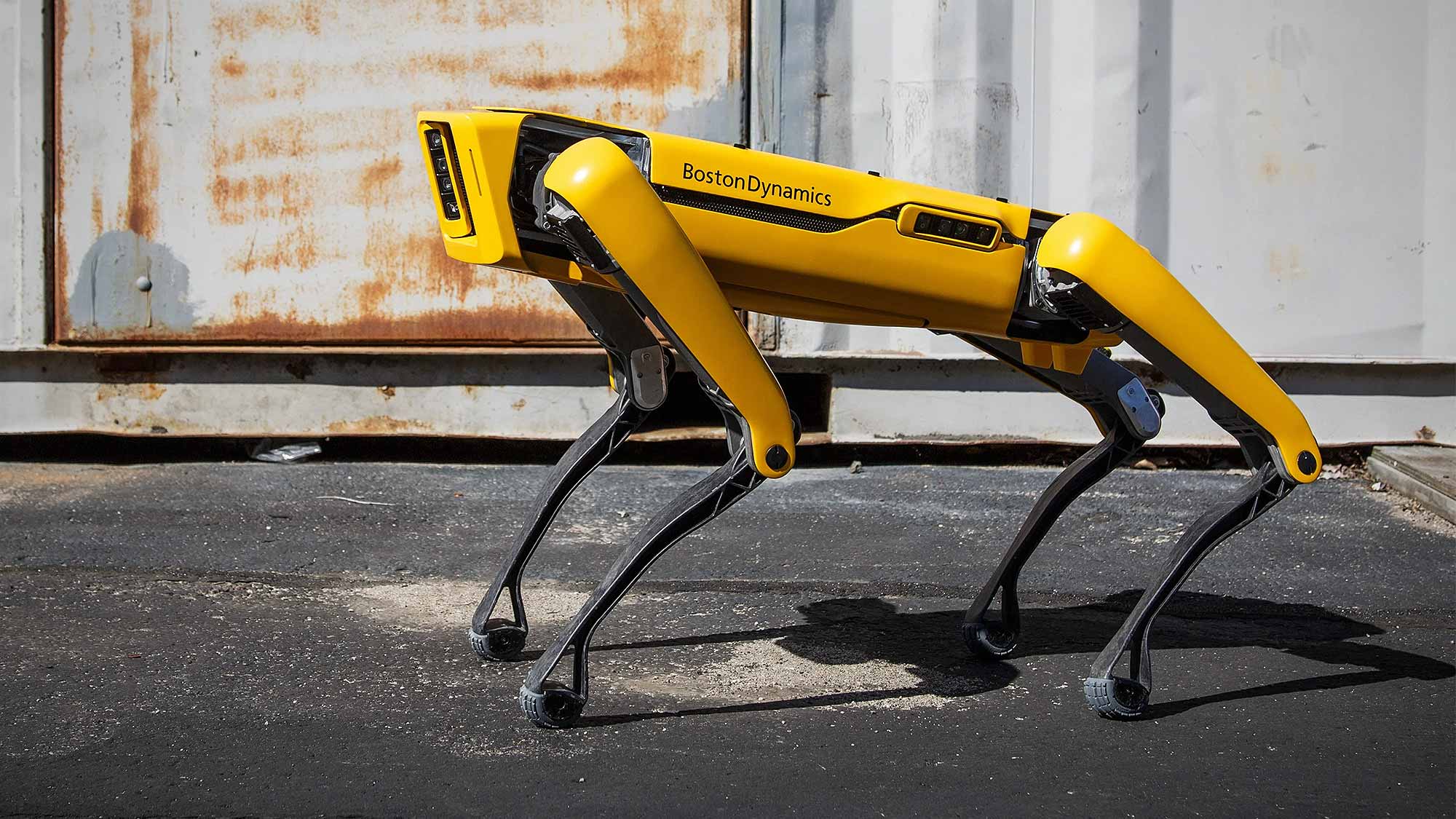 Boston Dynamics Spot Robot