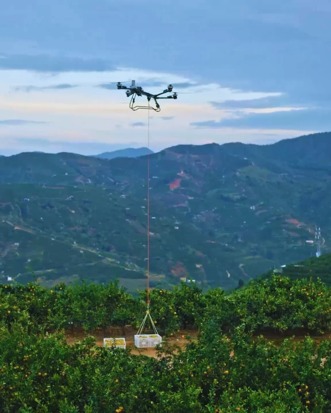 DJI Agras T70P Agriculture Drone
