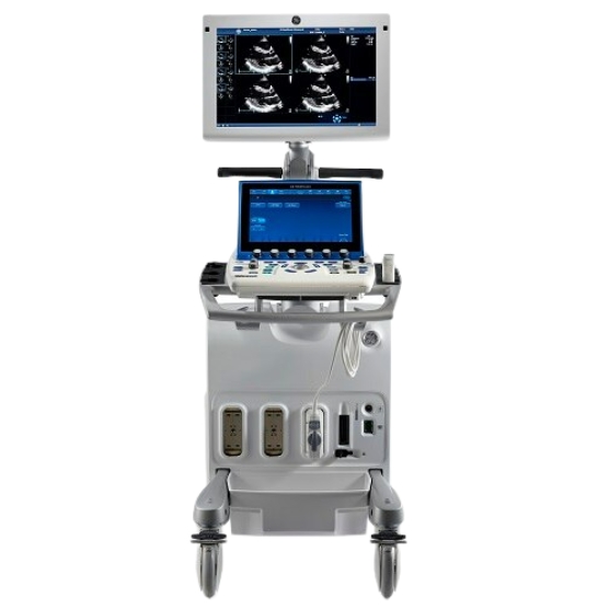 GE Vivid S60 R2 v202
