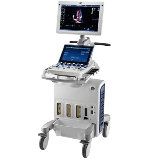 GE Vivid S70 R2 v202