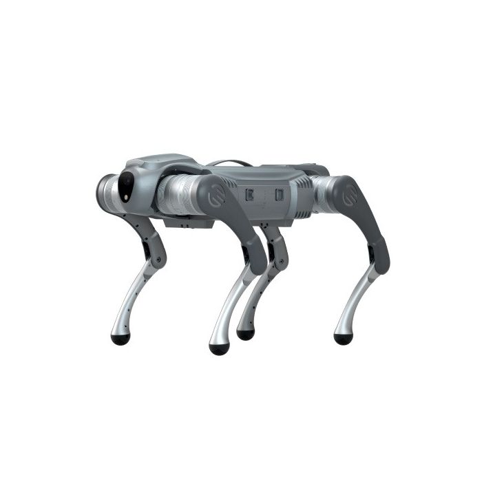 Galileo C1 Small Quadruped Robot Dog