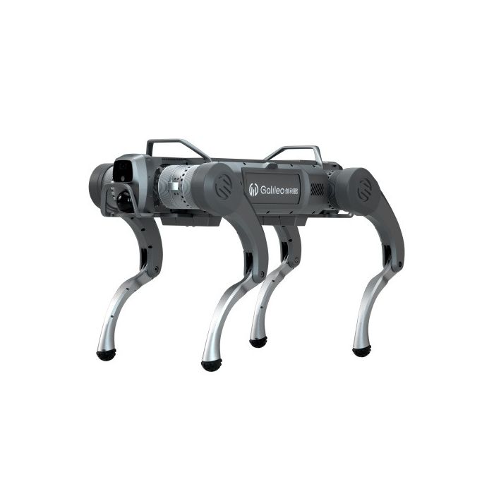 Galileo E1 Quadruped Robot Dog