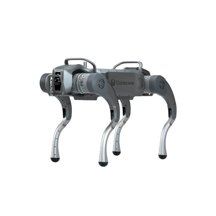 Galileo S1 Large Industrial Grade Quadruped Robot Dog