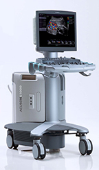 Siemens S1000