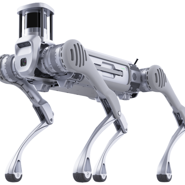 Unitree B2 Industrial Quadruped Robot